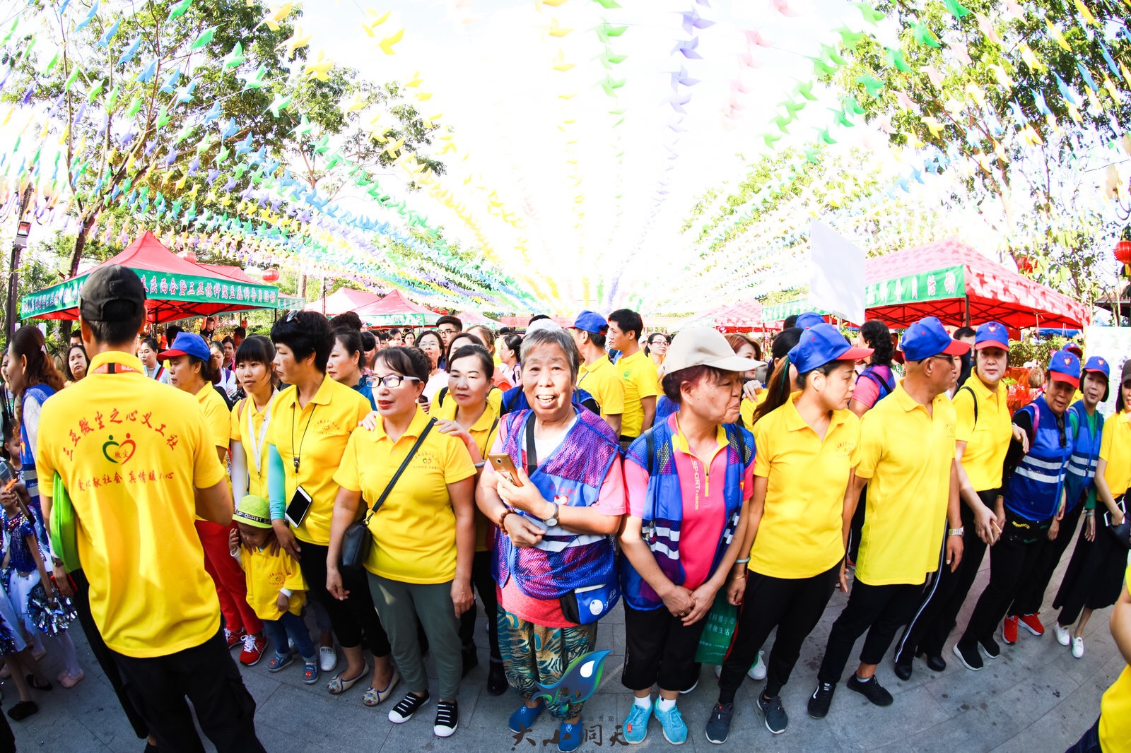 三亞迎春蘭花展在臨春嶺公園舉行 (4)