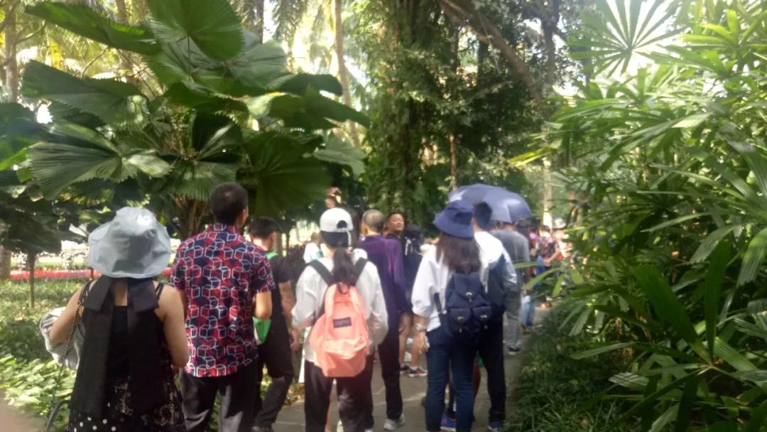 微信圖片_20190212101027 微信圖片_20190212101027