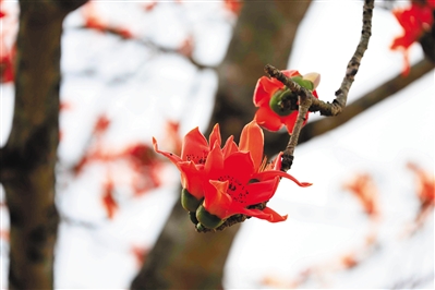 4210807_hnrbtp3_1549983114944_b 4210807_hnrbtp3_1549983114944_b