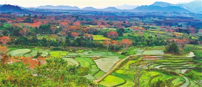 4210803_hnrbtp1_1549979650630_b 4210803_hnrbtp1_1549979650630_b