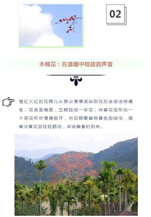 微信截圖_20190221112749