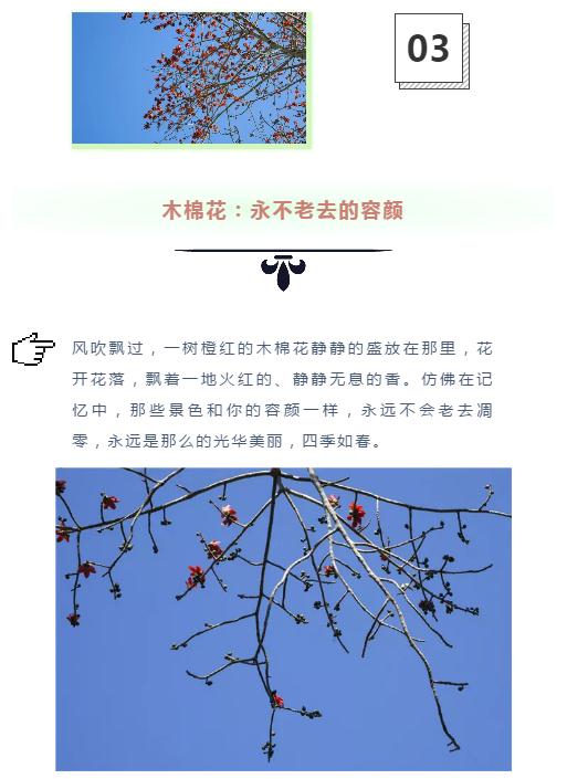 微信截圖_20190221112838