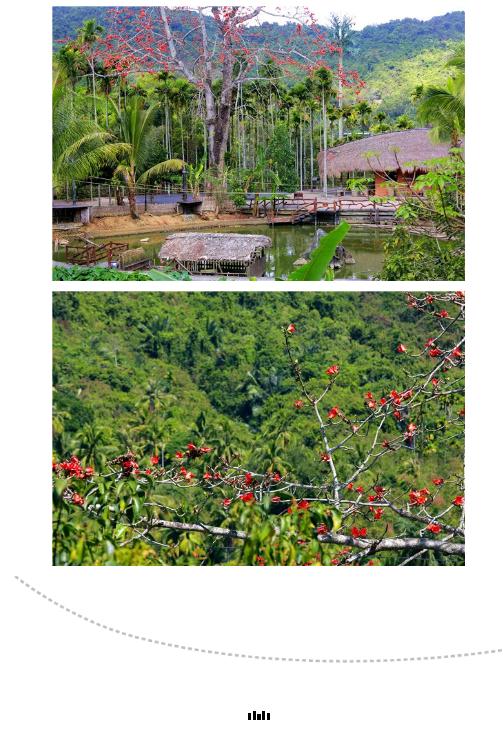 微信截圖_20190221112953