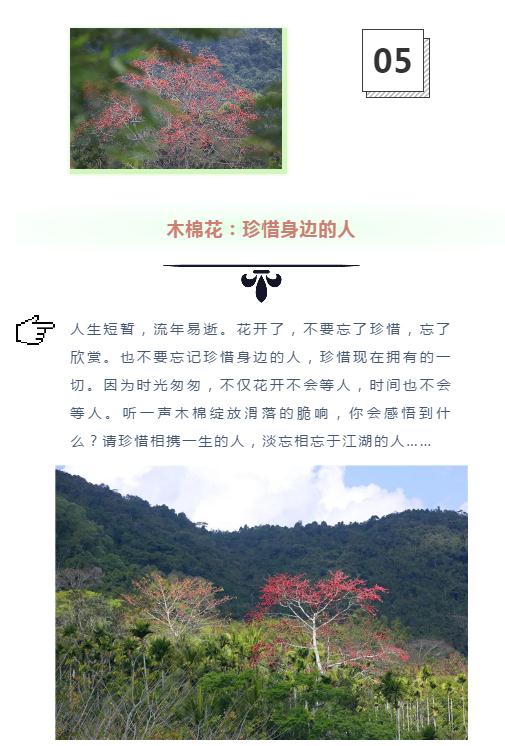 微信截圖_20190221113016