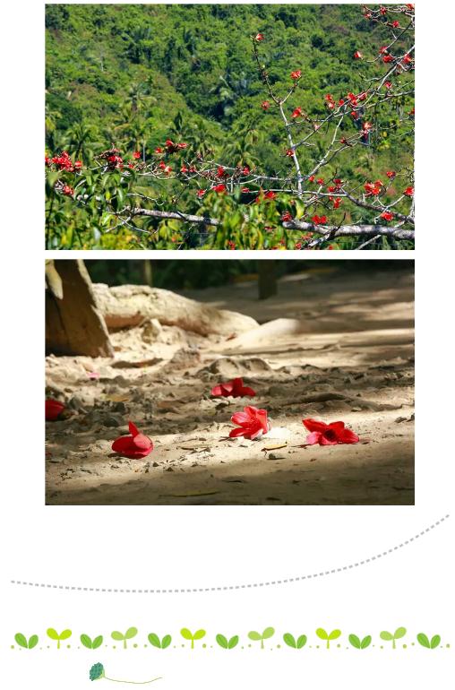 微信截圖_20190221113040