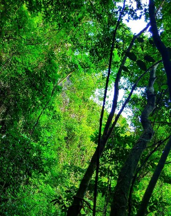 微信圖片_20190228095915