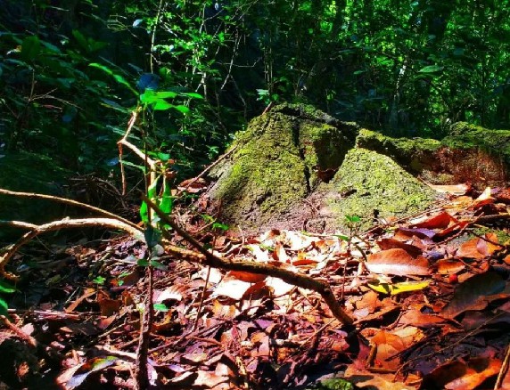 微信圖片_20190228095913