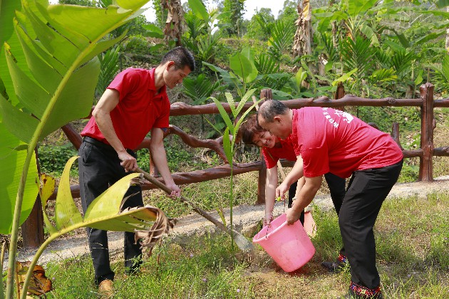 4、檳榔谷開展植樹活動
