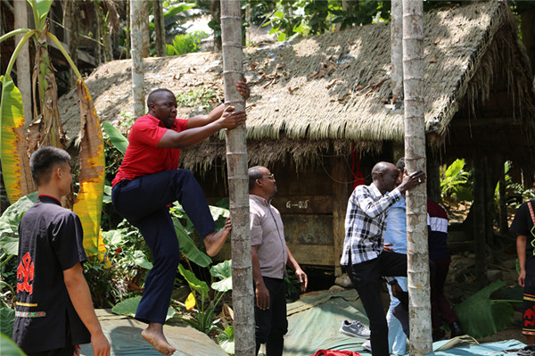 非洲記者團成員挑戰(zhàn)爬檳榔樹_副本 非洲記者團成員挑戰(zhàn)爬檳榔樹_副本