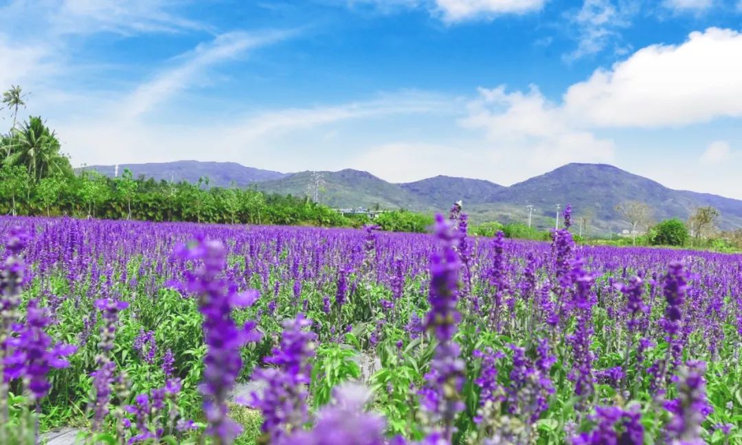 微信圖片_20190508110225 微信圖片_20190508110225