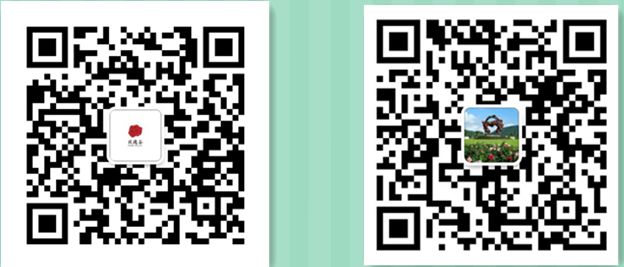 微信圖片_20190508110826 微信圖片_20190508110826