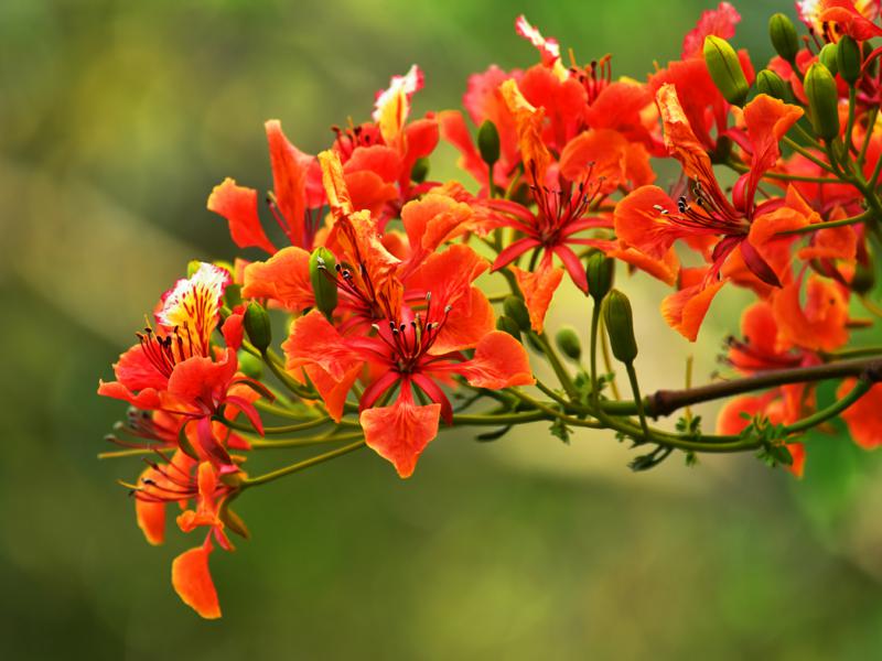 微信圖片_20190514175544(1)