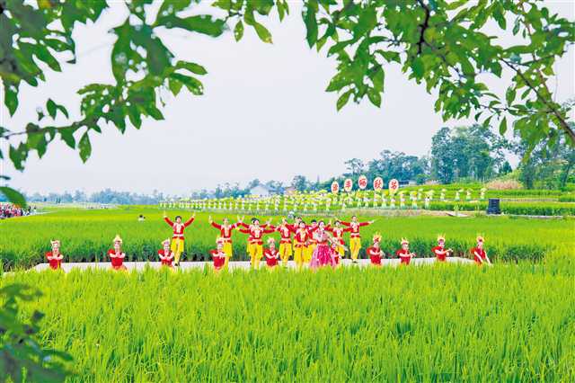 1ca97d91-922d-49bb-9ff1-f1bca21bd18b 1ca97d91-922d-49bb-9ff1-f1bca21bd18b