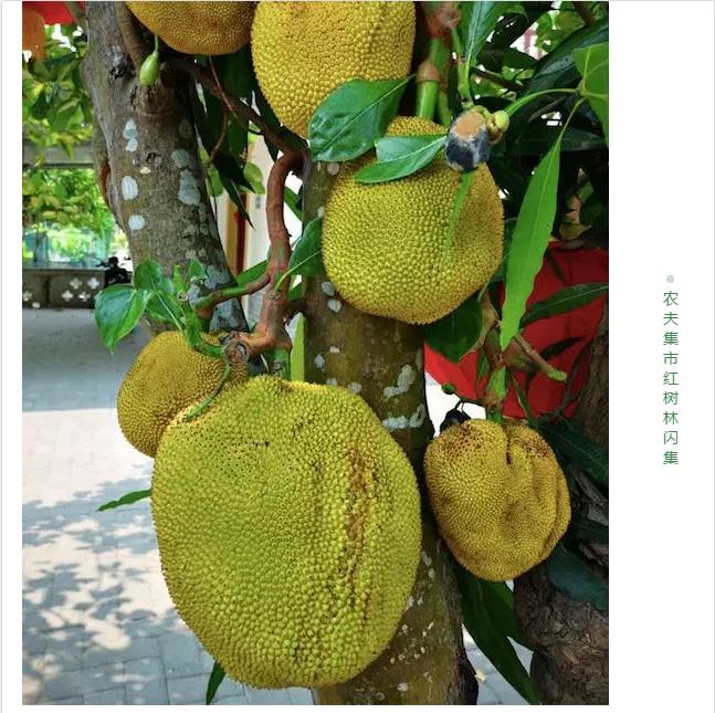 微信截圖_20190523181943