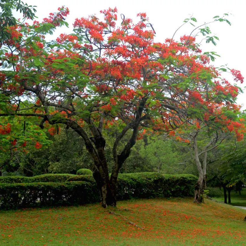 微信圖片_20190524192158 微信圖片_20190524192158