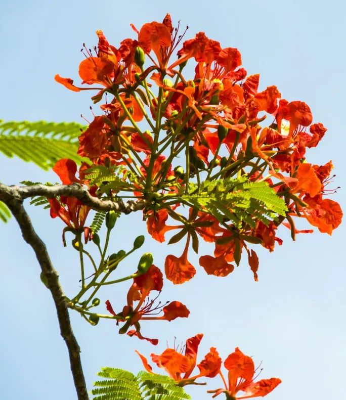 微信圖片_20190524192246 微信圖片_20190524192246