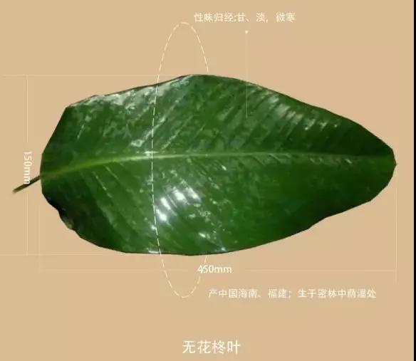 微信圖片_20190603095515 微信圖片_20190603095515