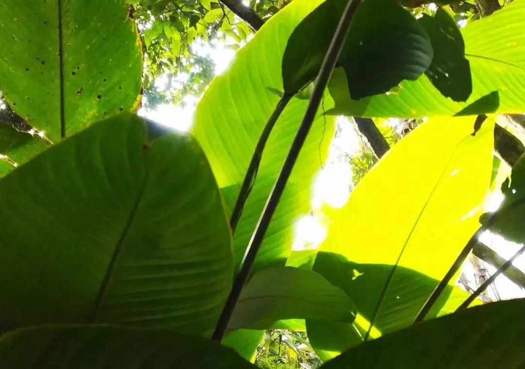 微信圖片_20190603095512 微信圖片_20190603095512