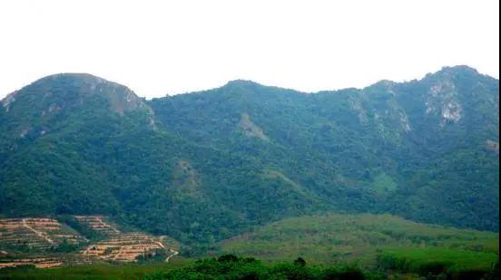 微信圖片_20190606113432