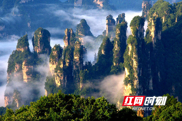 cbd1981a-bcb0-424a-a52f-7961a4639f05 cbd1981a-bcb0-424a-a52f-7961a4639f05