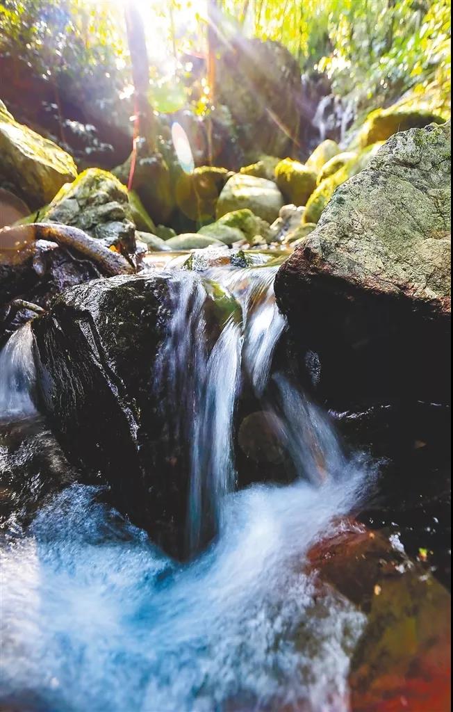 微信圖片_20190624180223 微信圖片_20190624180223