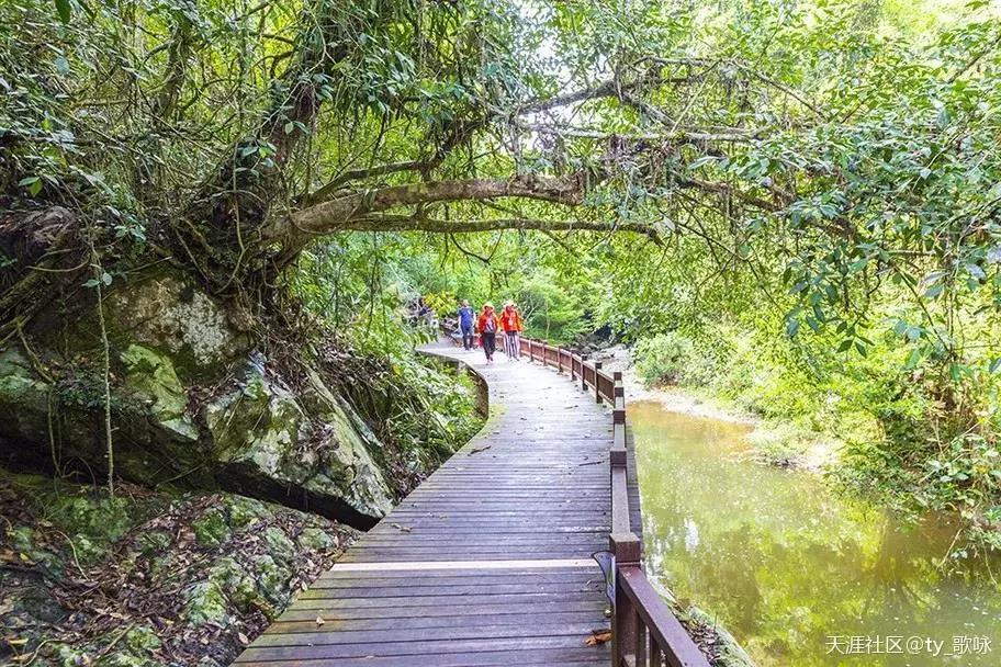 微信圖片_20190624180106 微信圖片_20190624180106