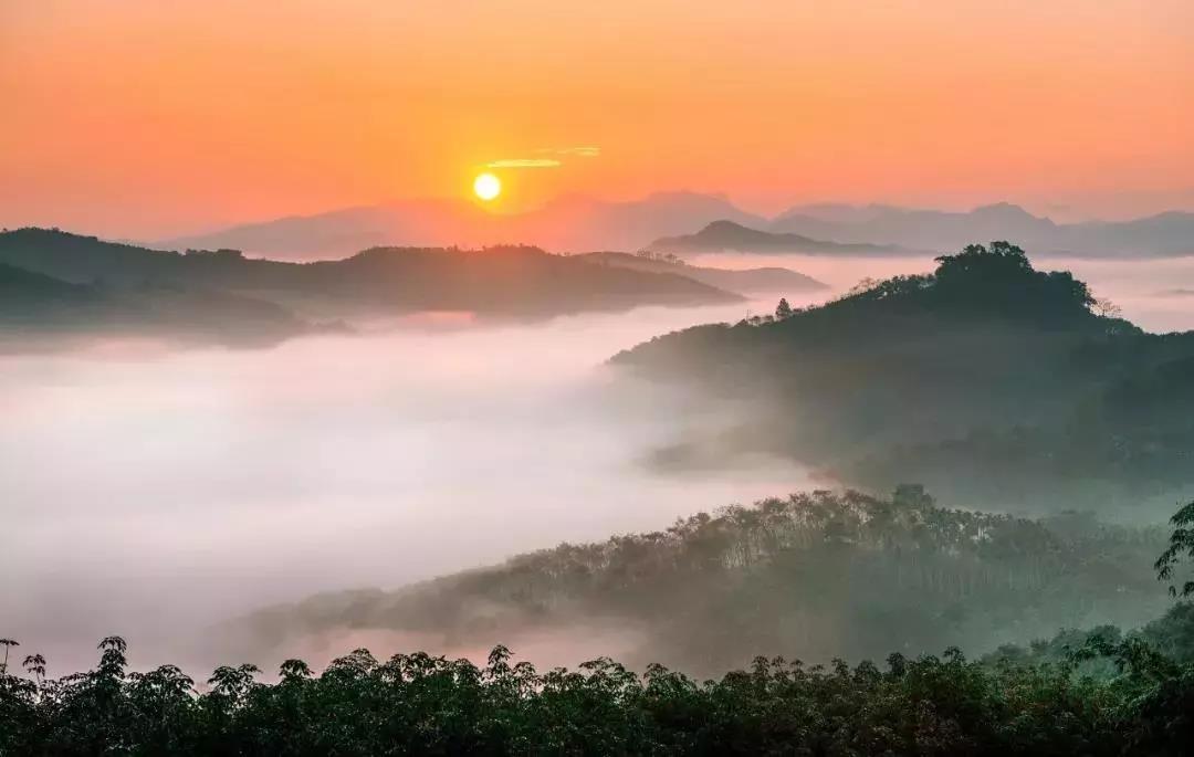 微信圖片_20190624180112 微信圖片_20190624180112