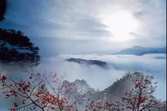 微信圖片_20190624180110 微信圖片_20190624180110