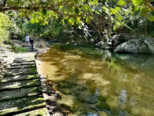 微信圖片_20190624180125 微信圖片_20190624180125