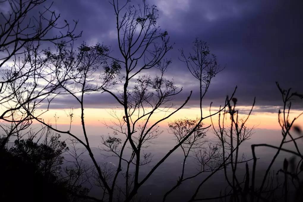 微信圖片_20190624180159 微信圖片_20190624180159