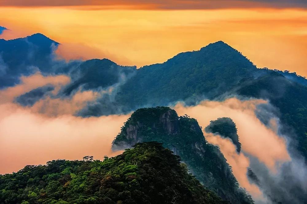 微信圖片_20190624180119 微信圖片_20190624180119