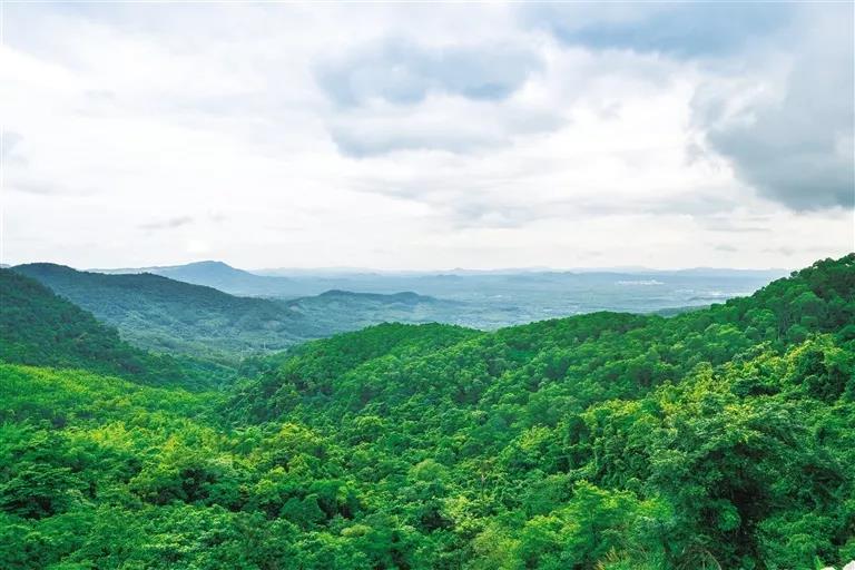 微信圖片_20190624180213 微信圖片_20190624180213