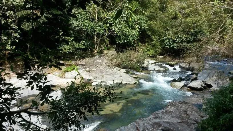 微信圖片_20190624180122 微信圖片_20190624180122