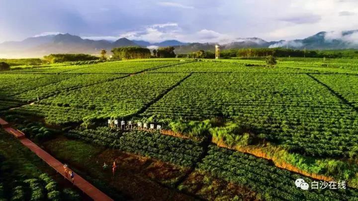 微信圖片_20190624180047 微信圖片_20190624180047