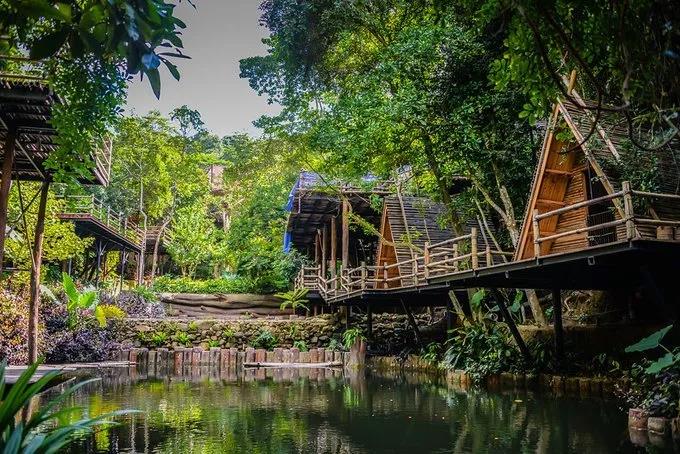 微信圖片_20190624180145 微信圖片_20190624180145