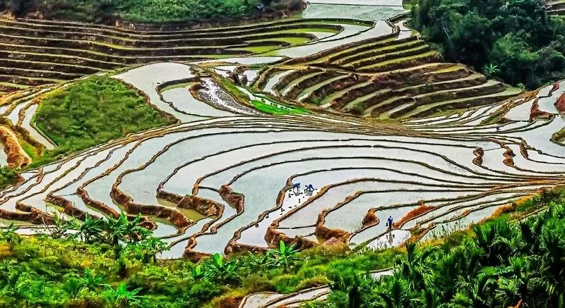 微信圖片_20190624180136 微信圖片_20190624180136