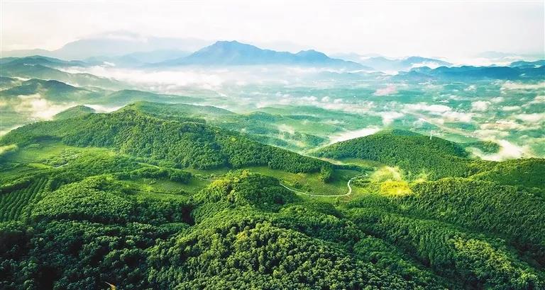 微信圖片_20190624180023 微信圖片_20190624180023