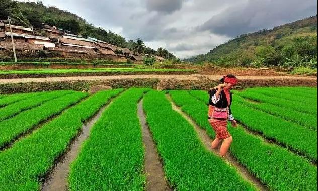 微信圖片_20190624180131 微信圖片_20190624180131