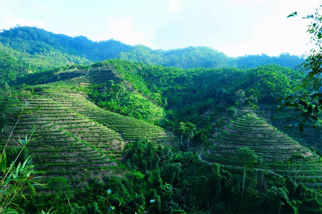 微信圖片_20190624180156 微信圖片_20190624180156