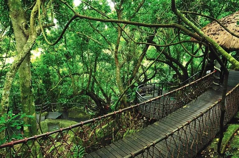 微信圖片_20190624180142 微信圖片_20190624180142