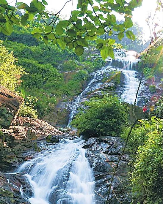 微信圖片_20190624180221 微信圖片_20190624180221