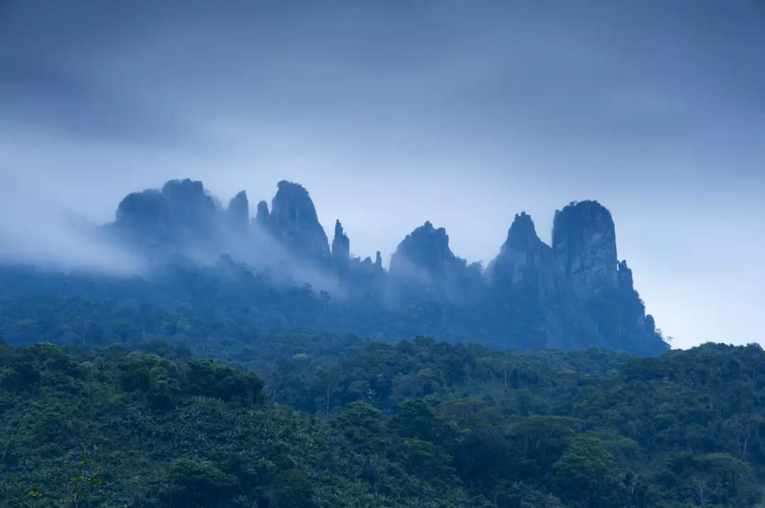 微信圖片_20190624180202 微信圖片_20190624180202