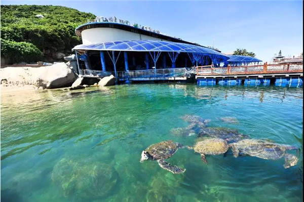 微信圖片_20190701175602 微信圖片_20190701175602