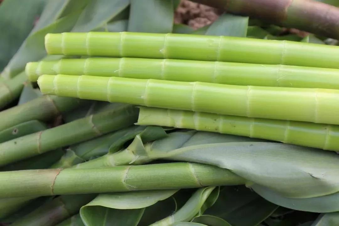 微信圖片_20190704163403 微信圖片_20190704163403