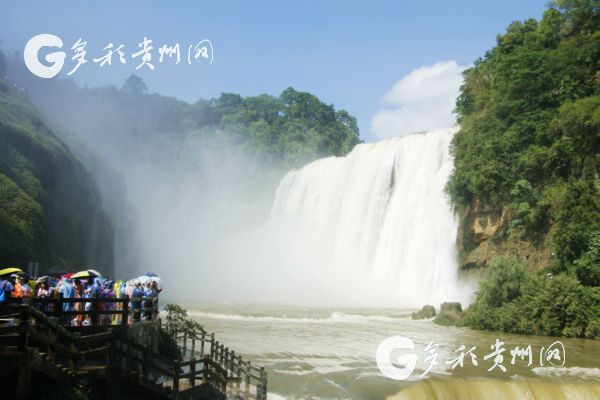 00303507829_98c6a69d 00303507829_98c6a69d