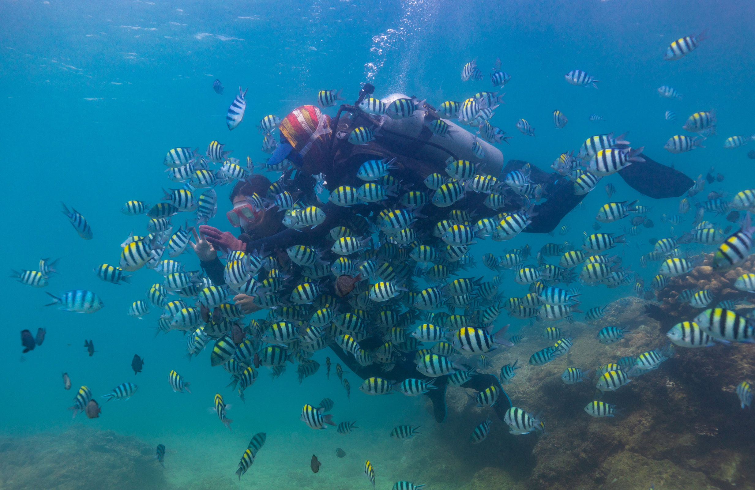 微信圖片_20190707101047 微信圖片_20190707101047