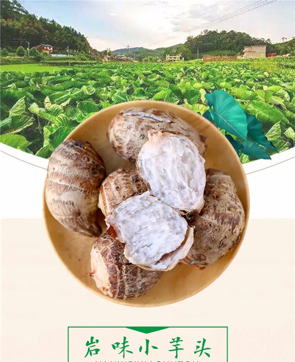 微信圖片_20190709171516