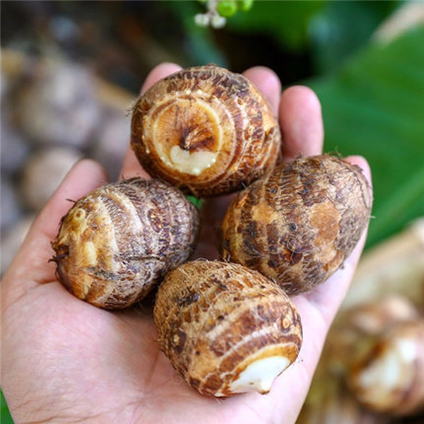 微信圖片_20190709171538