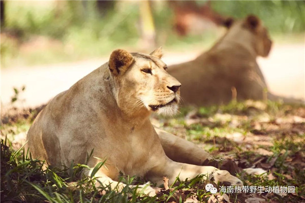 微信圖片_20190712095527 微信圖片_20190712095527