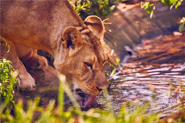 微信圖片_20190712095521 微信圖片_20190712095521